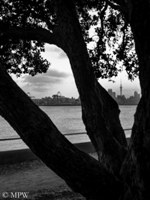 Auckland City Sky Tower from Devonport